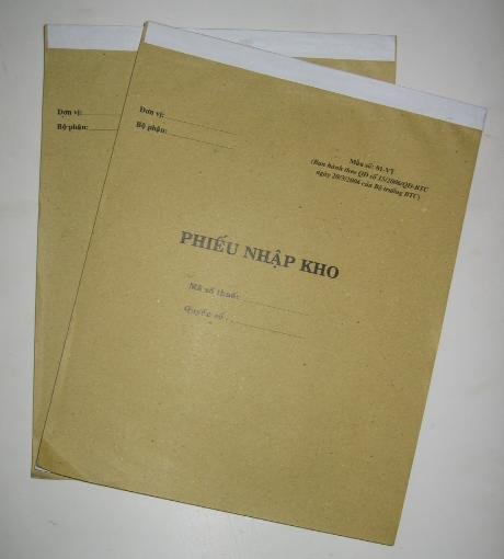 Phiếu nhập kho A4 100 tờ cục thống kê