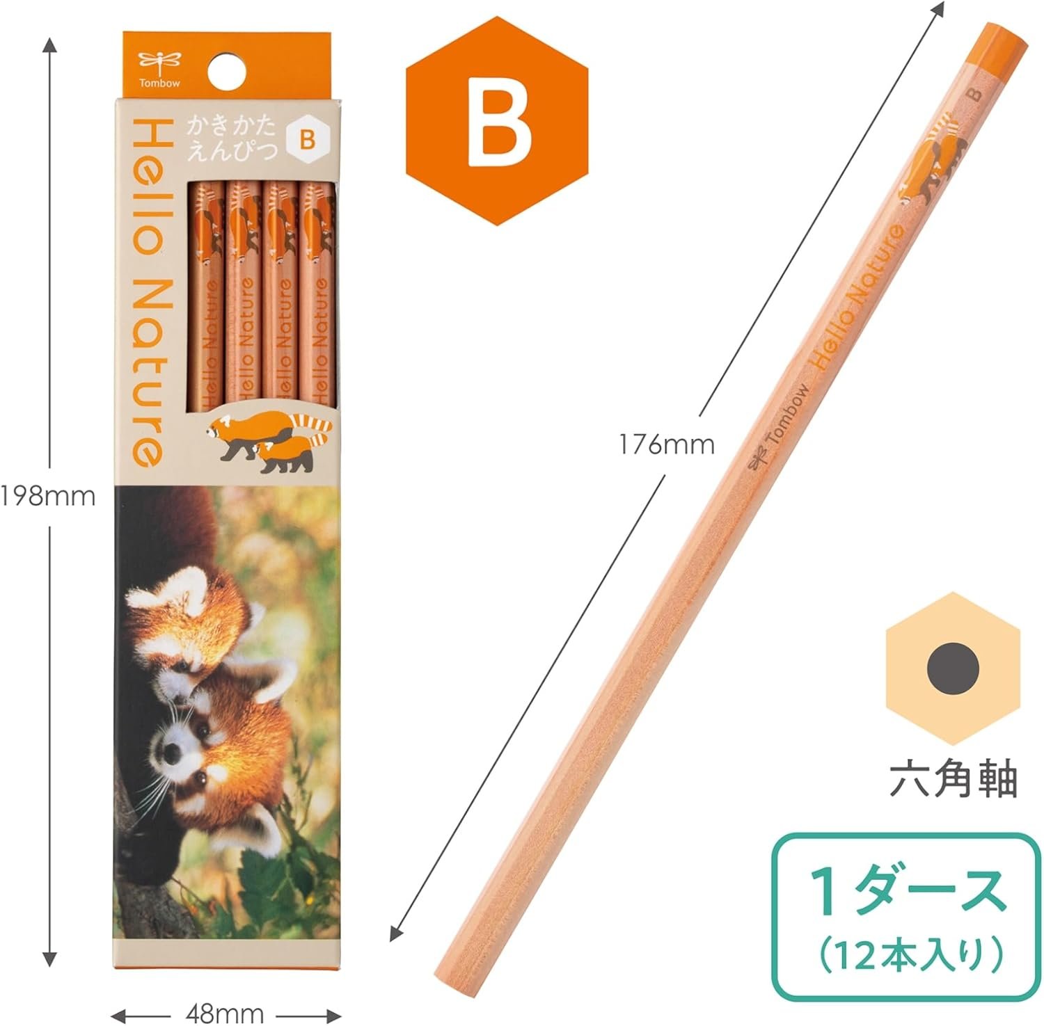 www.bebinhvn.com