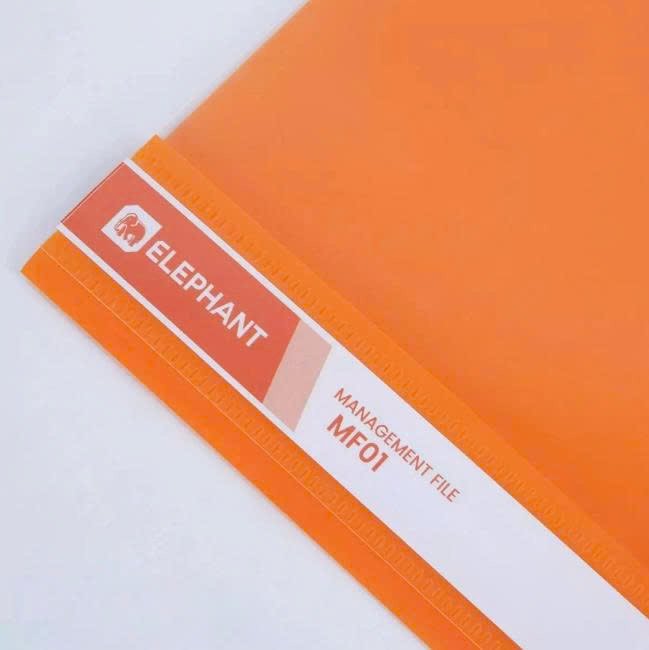 www.bebinhvn.com