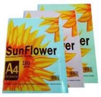 Bìa màu SunFlower A4 180gsm
